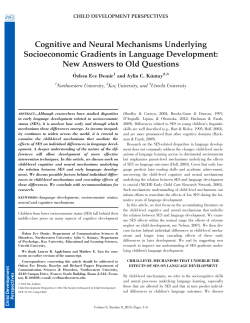 Cognitive and Neural Mechanisms Underlying Socioeconomic