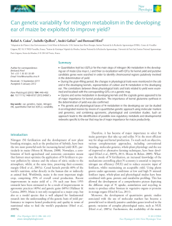 Can genetic variability for nitrogen metabolism in the developing ear