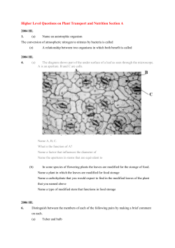 Higher Level Questions on Plant Transport and Nutrition