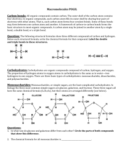Macromolecules POGIL Carbon bonds