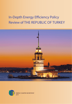 In-Depth Energy Efficiency Policy Review of THE