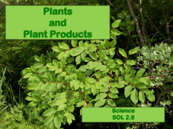 Plant Resources