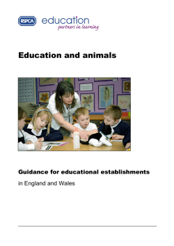 Animal-friendly schools