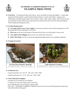 Master Plan Worksheet - Alabama Wildlife Federation