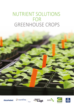 nutrient solutions for greenhouse crops