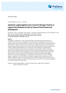 Symbiotic Leghemoglobins Are Crucial for Nitrogen Fixation in