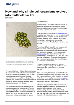 How and why single cell organisms evolved into