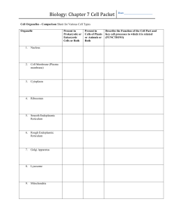 Biology: Chapter 7 Cell Packet