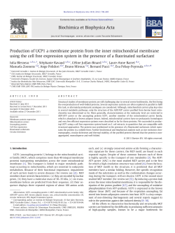 Production of UCP1 a membrane protein from the inner