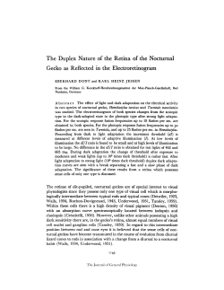 The Duplex Nature of the Retina of the Nocturnal