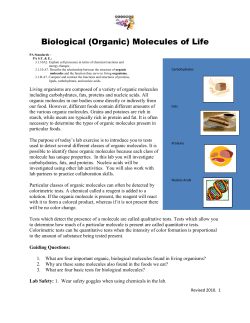 Organic Molecules Qualitative Identification