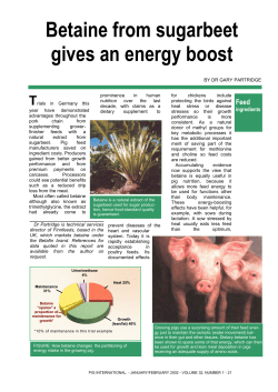 Betaine from sugarbeet gives an energy boost