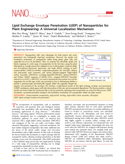 (LEEP) of Nanoparticles for Plant Engineering