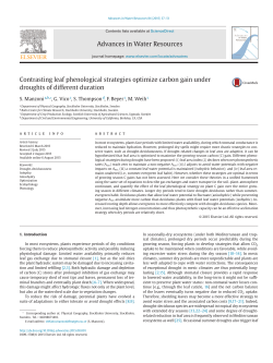 Contrasting leaf phenological strategies optimize carbon gain under