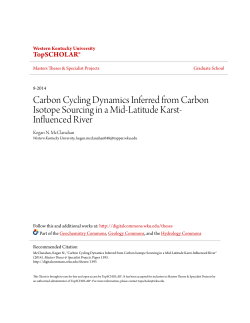 Carbon Cycling Dynamics Inferred from Carbon Isotope Sourcing in