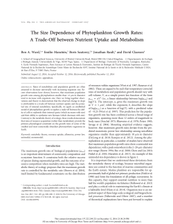 The Size Dependence of Phytoplankton Growth Rates: A Trade