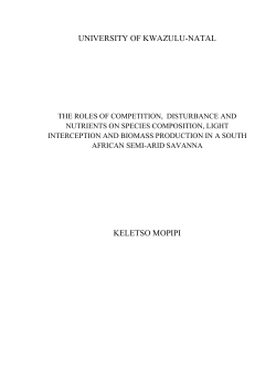 Investigating the roles of competition and disturbance on species