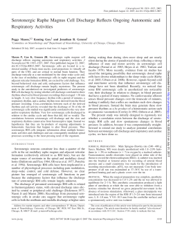 Serotonergic Raphe Magnus Cell Discharge Reflects Ongoing