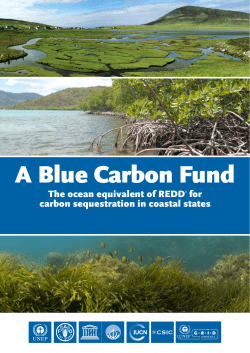 A Blue Carbon Fund - International Coral Reef Initiative
