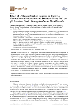 Effect of Different Carbon Sources on Bacterial
