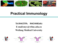 Part 2 Detecting the concentration of serum complement Principle
