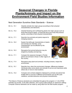 Seasonal Changes and Impact on Environment
