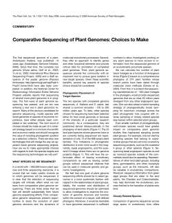 Comparative Sequencing of Plant Genomes: Choices to