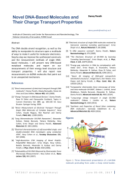 Novel DNA-Based Molecules and Their Charge Transport Properties