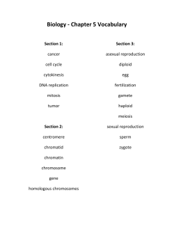 Biology - Chapter 5 Vocabulary