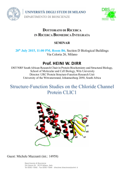 Structure-Function Studies on the Chloride Channel Protein CLIC1