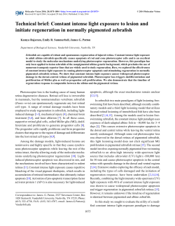 Constant intense light exposure to lesion and