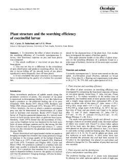Plant structure and the searching efficiency of