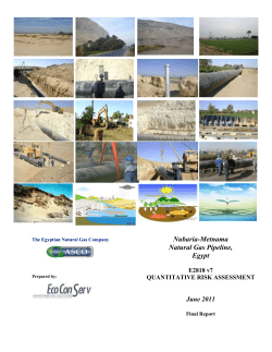 Quantitative Risk Assessment for the Nubaria