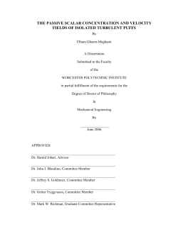 the passive scalar concentration and velocity fields of isolated