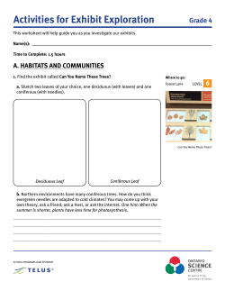 Activities for Exhibit Exploration