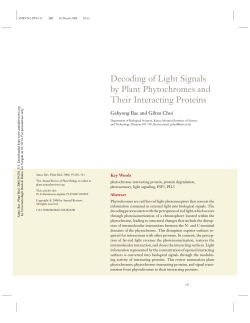 Decoding of Light Signals by Plant