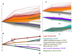 mRNA metabolic process 1.3&times;10