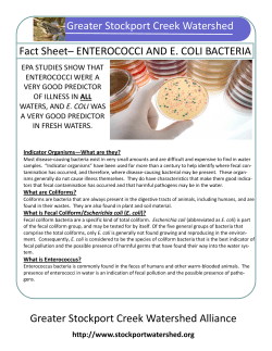 Bacteria - Greater Stockport Creek Watershed Alliance