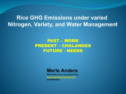 Rice grain yields (Mg ha