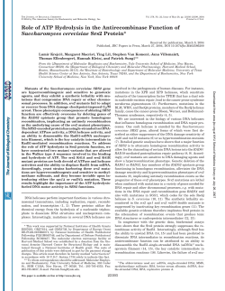Role of ATP Hydrolysis in the Antirecombinase Function of