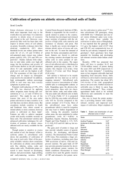 Cultivation of potato on abiotic stress-affected