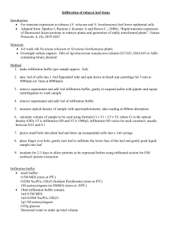 Infiltration of tobacco leaf tissue Introduction &bull; For transient
