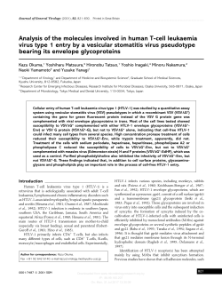 Analysis of the molecules involved in human T