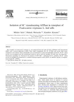 Isolation of H+-translocating ATPase in tonoplast
