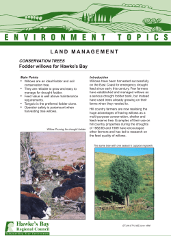 Fodder Willows - Hawke`s Bay Regional Council