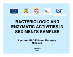 bacteriologic and enzymatic activities in sediments samples
