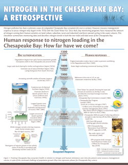 nitrogen in the chesapeake bay: a retrospective