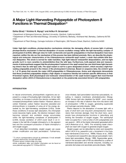 A Major Light-Harvesting Polypeptide of Photosystem II