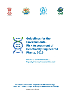 Guidelines for the Environmental Risk - Biosafety Clearing