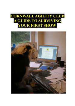 cornwall agility club a guide to surviving your first show